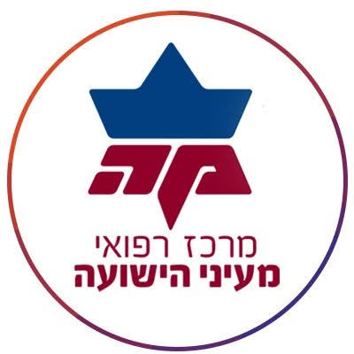מעייני הישועה